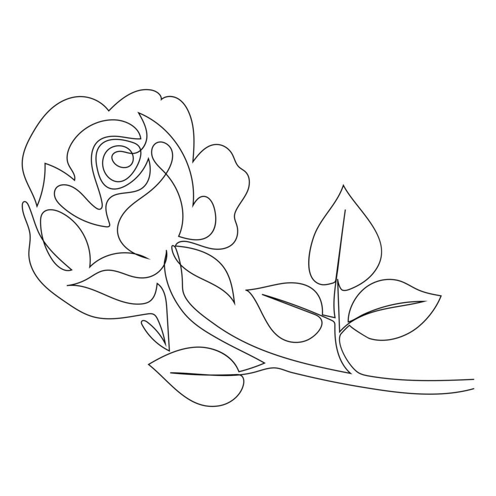 Continuous single One line rose design hand drawn drawing roses line art illustration vector