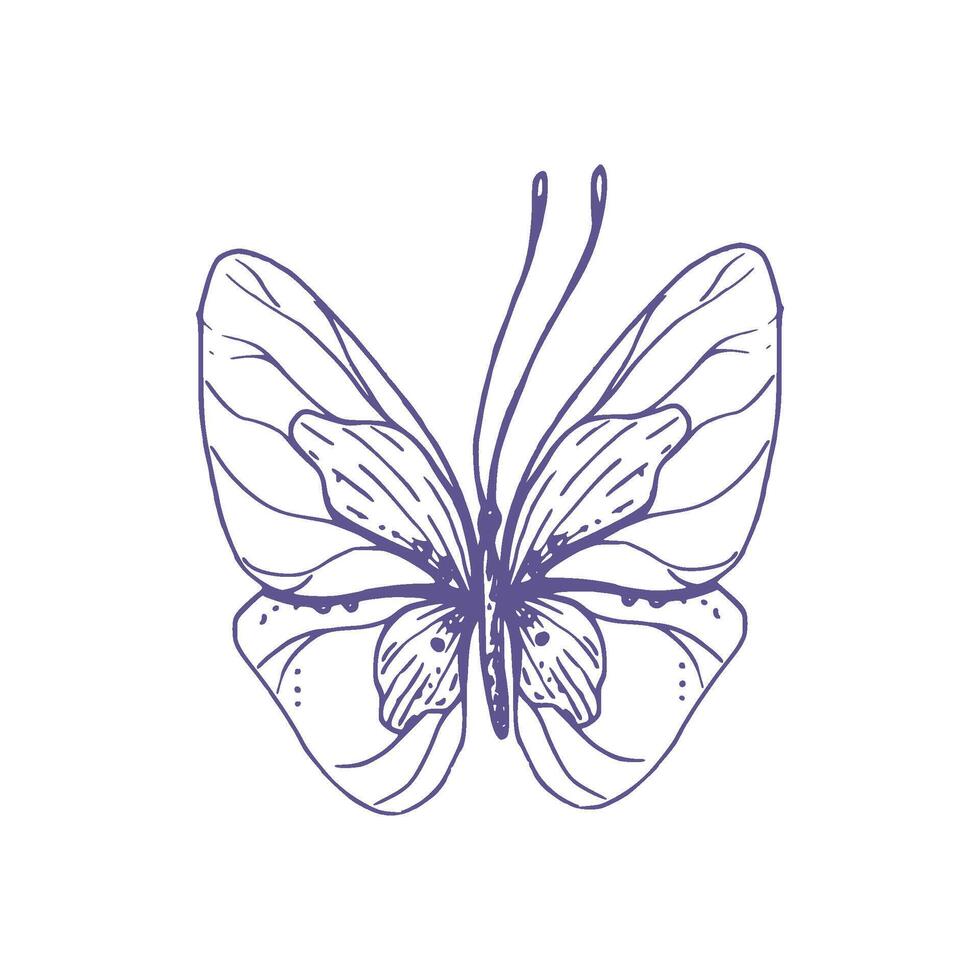 Delicate butterfly with patterns on the wings, simple, sweet, light, romantic. Illustration graphically hand-drawn in lilac ink in line style. Isolated EPS vector object
