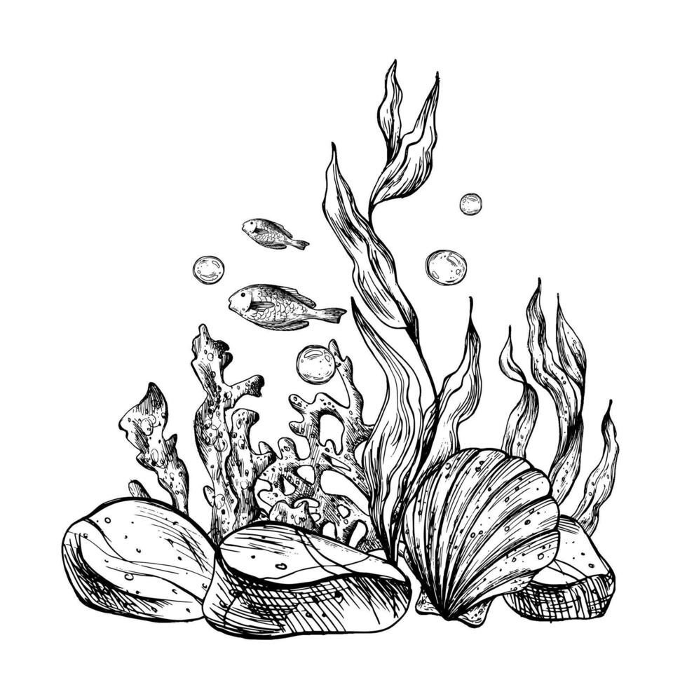 Underwater world clipart with sea animals fish, pebbles, bubbles, coral and algae. Graphic illustration hand drawn in black ink. Composition EPS vector