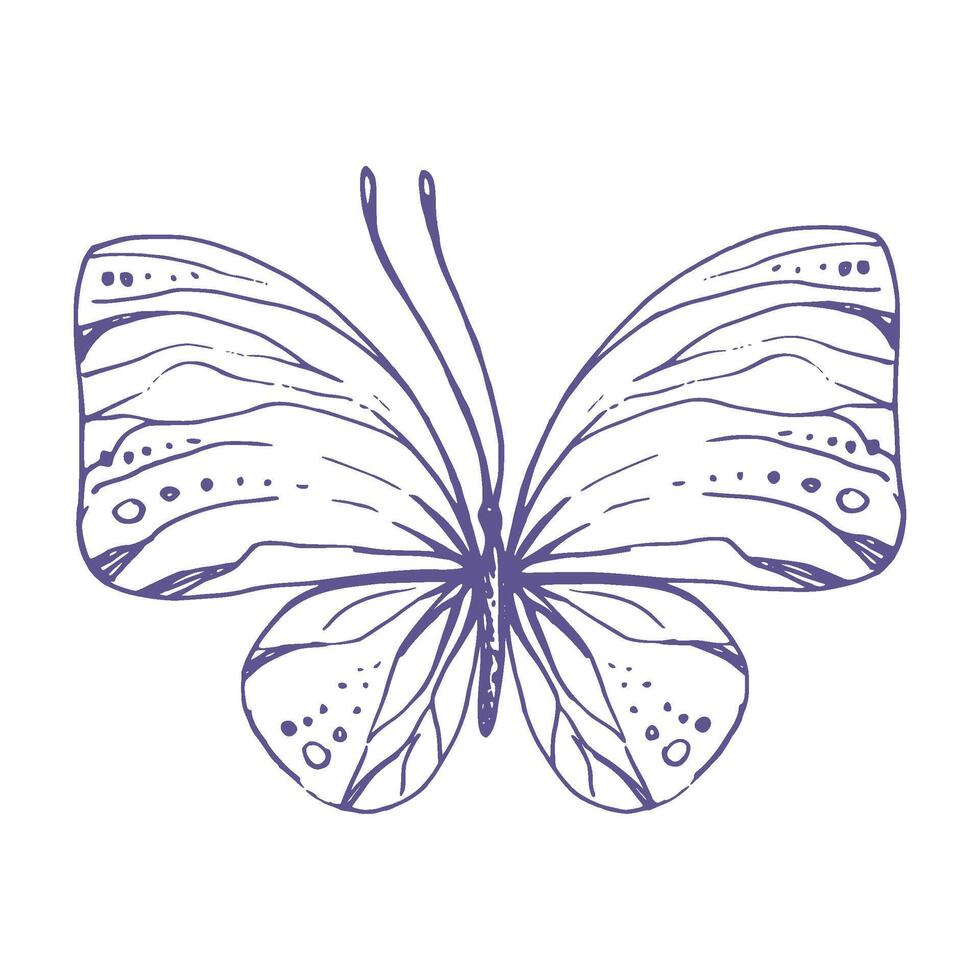 delicado mariposa con patrones en el alas, simple, dulce, luz, romántico. ilustración gráficamente dibujado a mano en lila tinta en línea estilo. aislado eps vector objeto