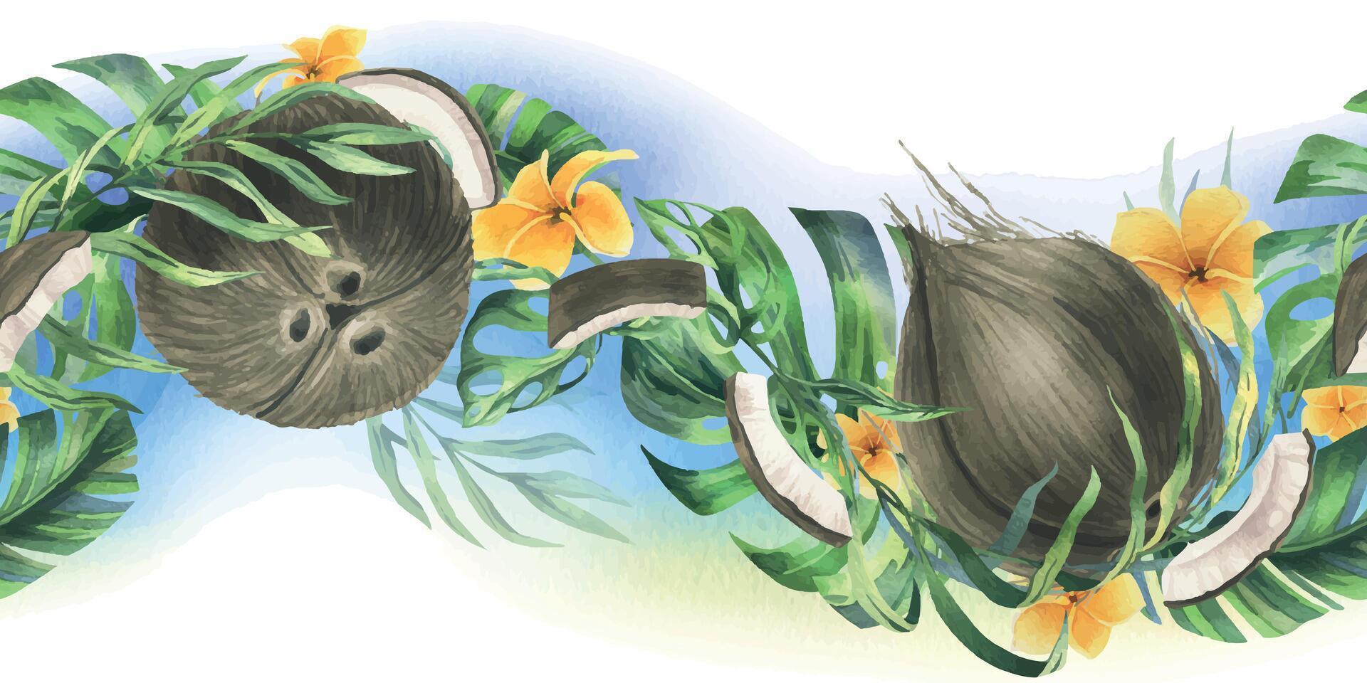 Coconuts whole, halves and pieces with bright, green, tropical palm leaves and yellow plumeria flowers. Hand drawn watercolor illustration. Seamless border isolated from the background. vector