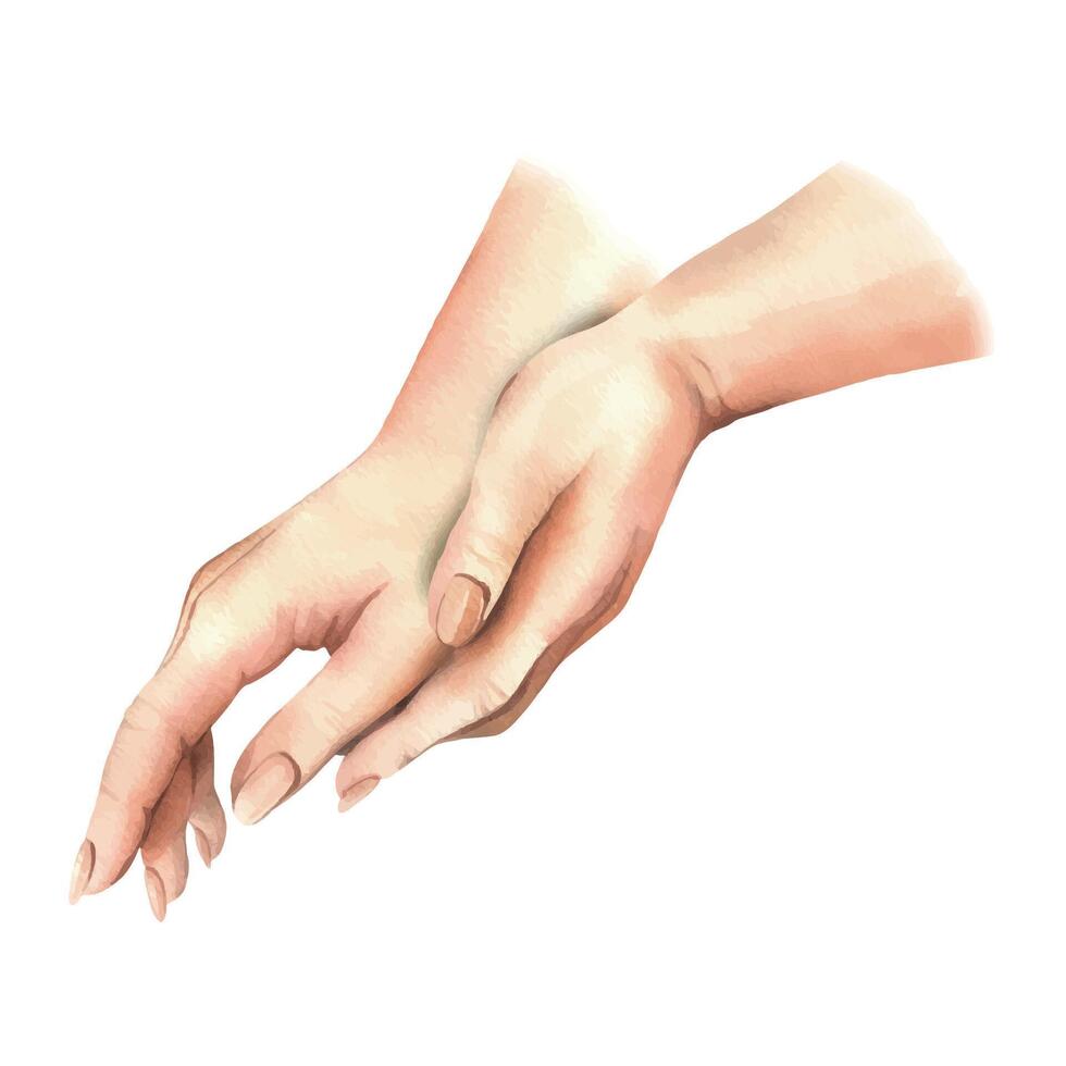 Hands of a white woman, palms side view, wiping, rubbing, hugging each other. Hand drawn watercolor illustration. Elements isolated from background. vector