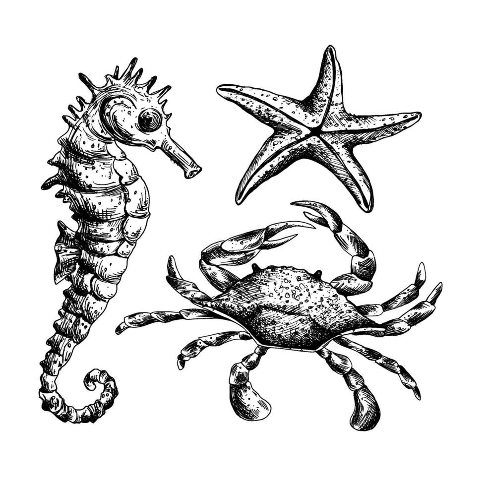 Underwater world clipart with sea animals seahorse, starfish, crab. Graphic illustration hand drawn in black ink. A set oh isolated elements EPS vector