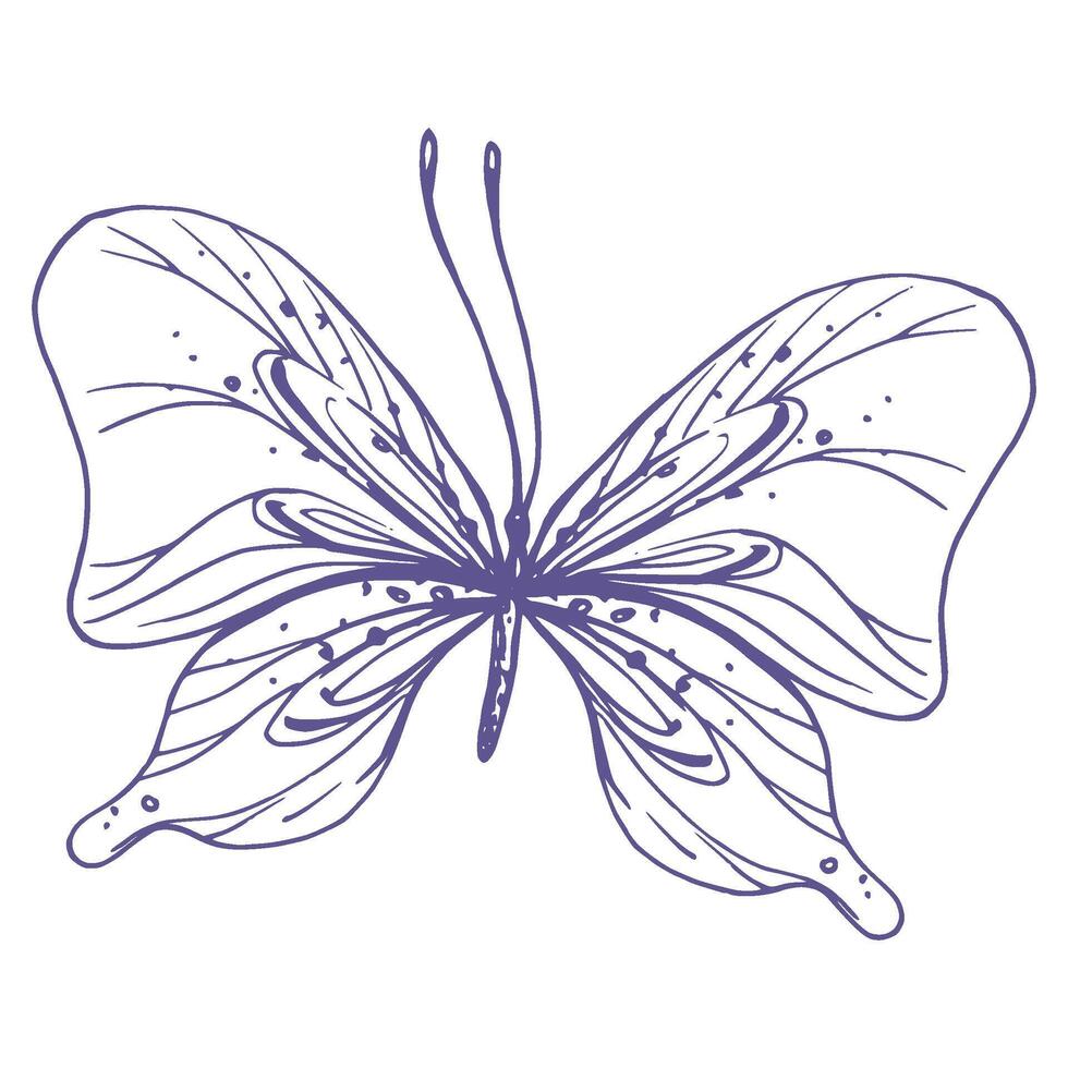 delicado mariposa con patrones en el alas, simple, dulce, luz, romántico. ilustración gráficamente dibujado a mano en lila tinta en línea estilo. aislado eps vector objeto