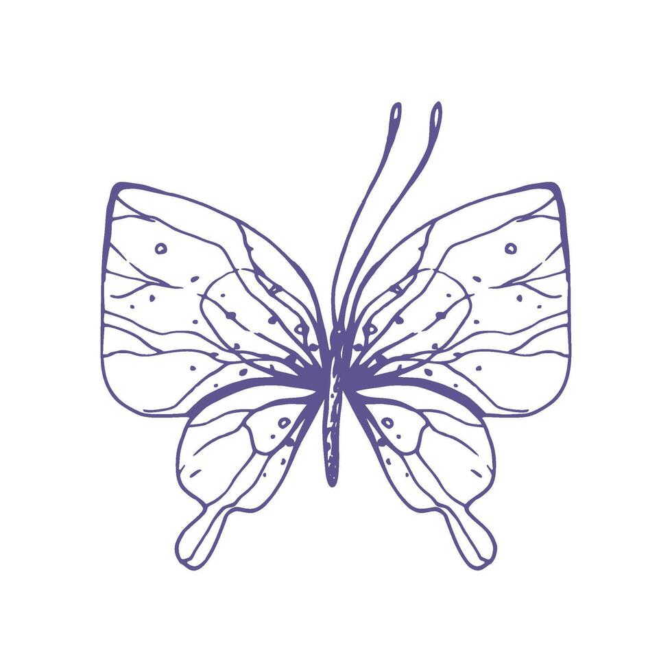 Delicate butterfly with patterns on the wings, simple, sweet, light, romantic. Illustration graphically hand-drawn in lilac ink in line style. Isolated EPS vector object