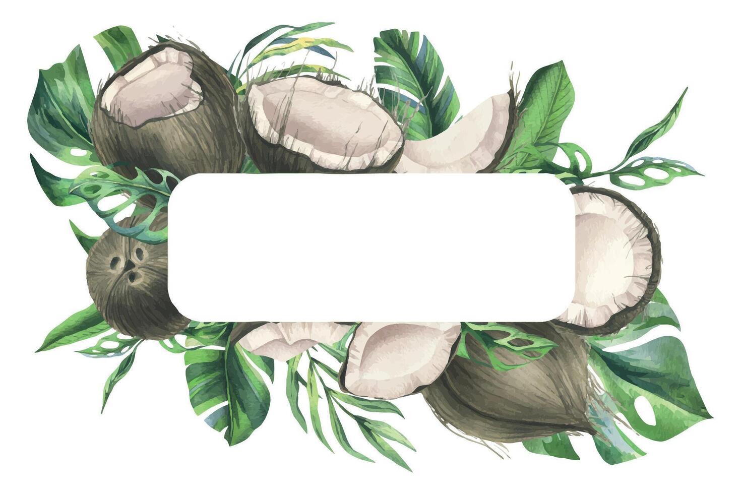 Coconuts whole, halves and pieces with bright, green, tropical palm leaves. Hand drawn watercolor illustration. Wreath, frame, template isolated from the background. vector