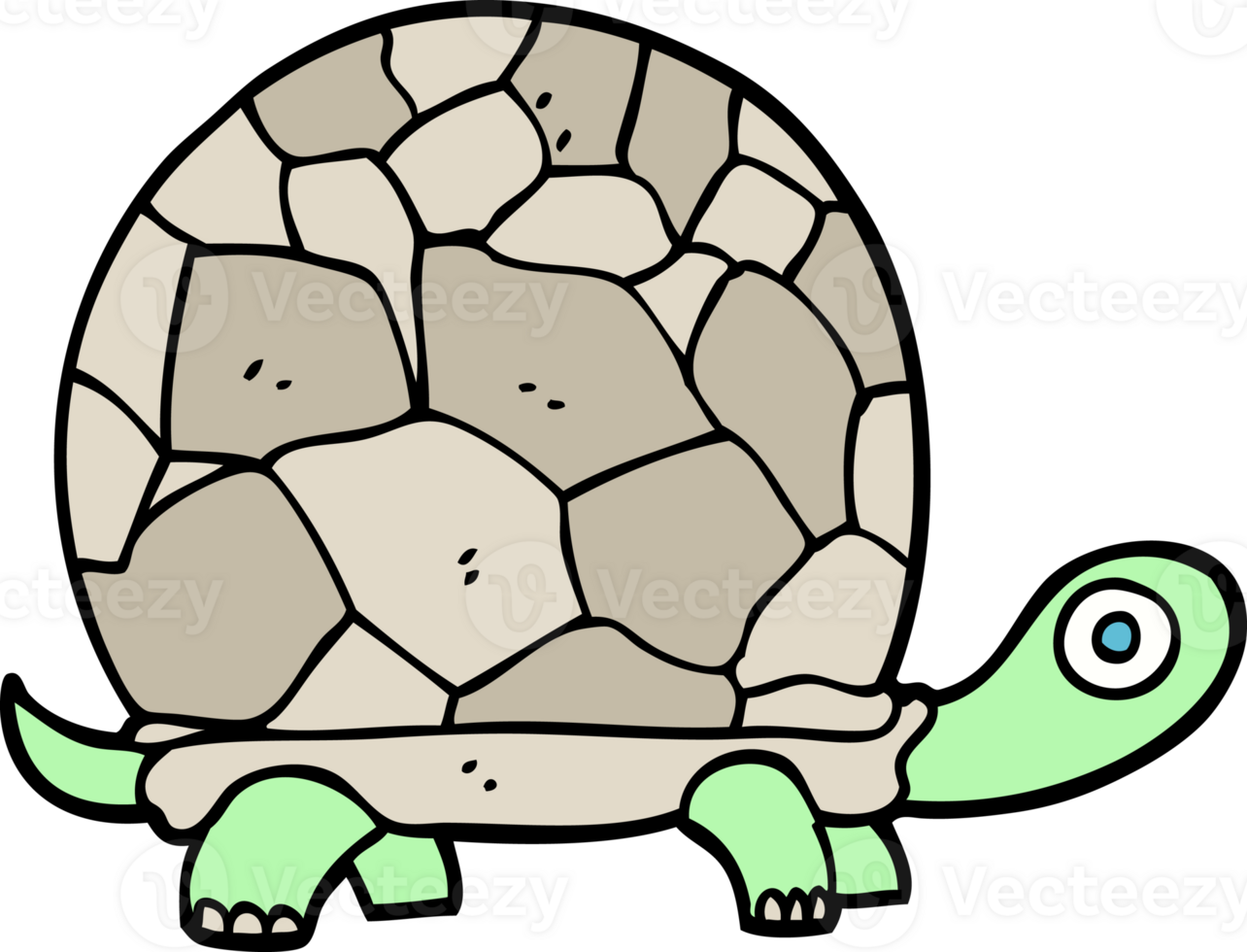 hand drawn doodle style cartoon tortoise png