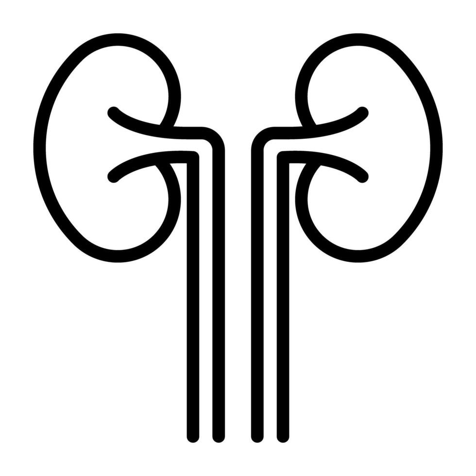 Kidneys icon in glyph design vector