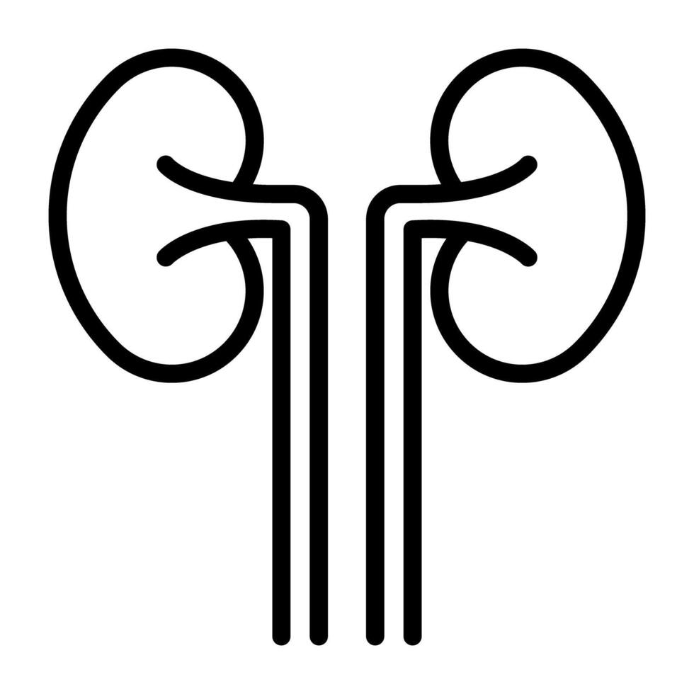 Kidneys icon in glyph design vector