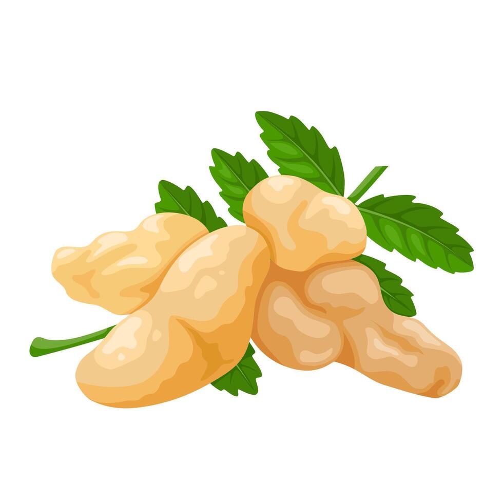 Vector illustration, Frankincense, also known as olibanum, obtained from the Boswellia tree, isolated on white background.