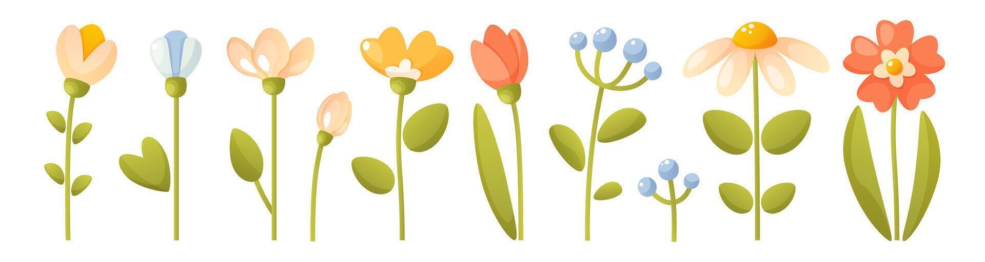 Set of different red, blue, yellow flowers, with green leaves. Spring, summer botanical vector