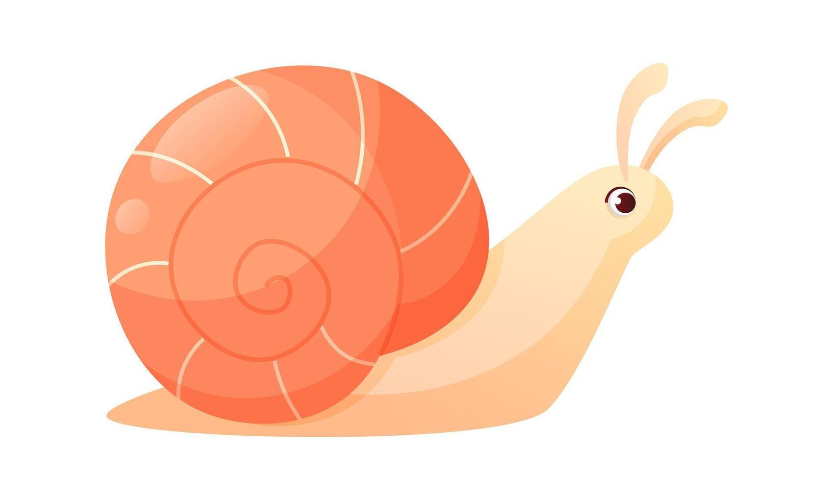 A cheerful cartoon red snail crawls. Vector illustration on a white background.