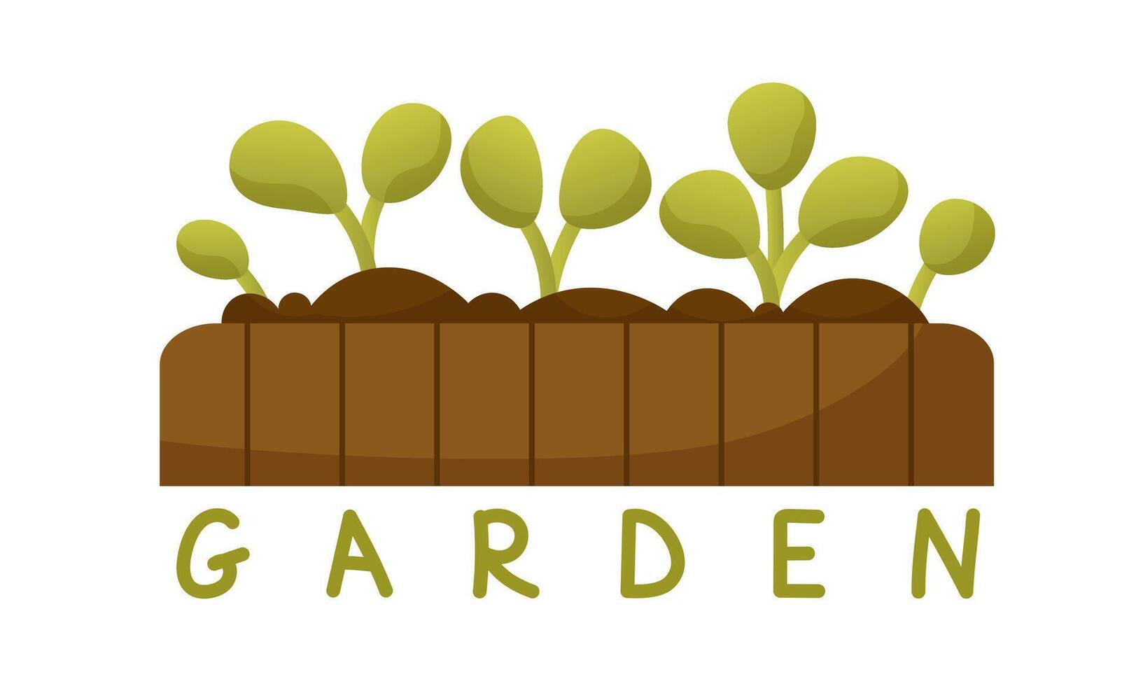 Sprout grown from seeds. Green seedlings, sapling, sprout of vegetables, fruits in a wooden box. Banner on the theme of vegetable garden. Spring gardening. The beginning of the gardening season. vector
