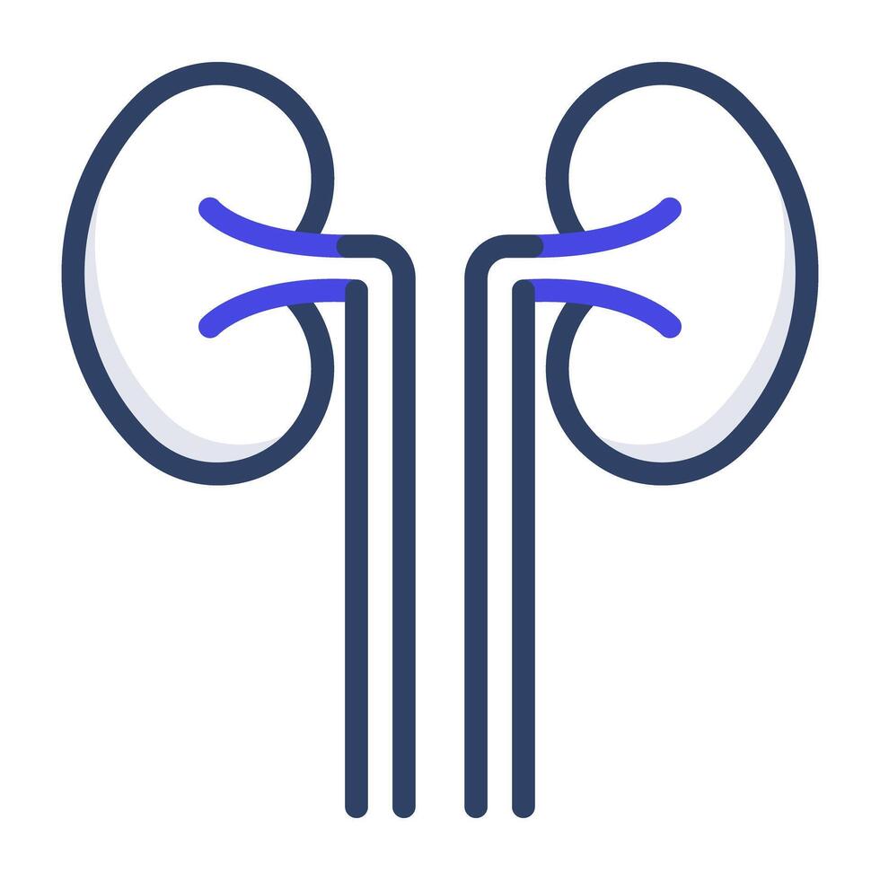 Kidneys icon in glyph design vector