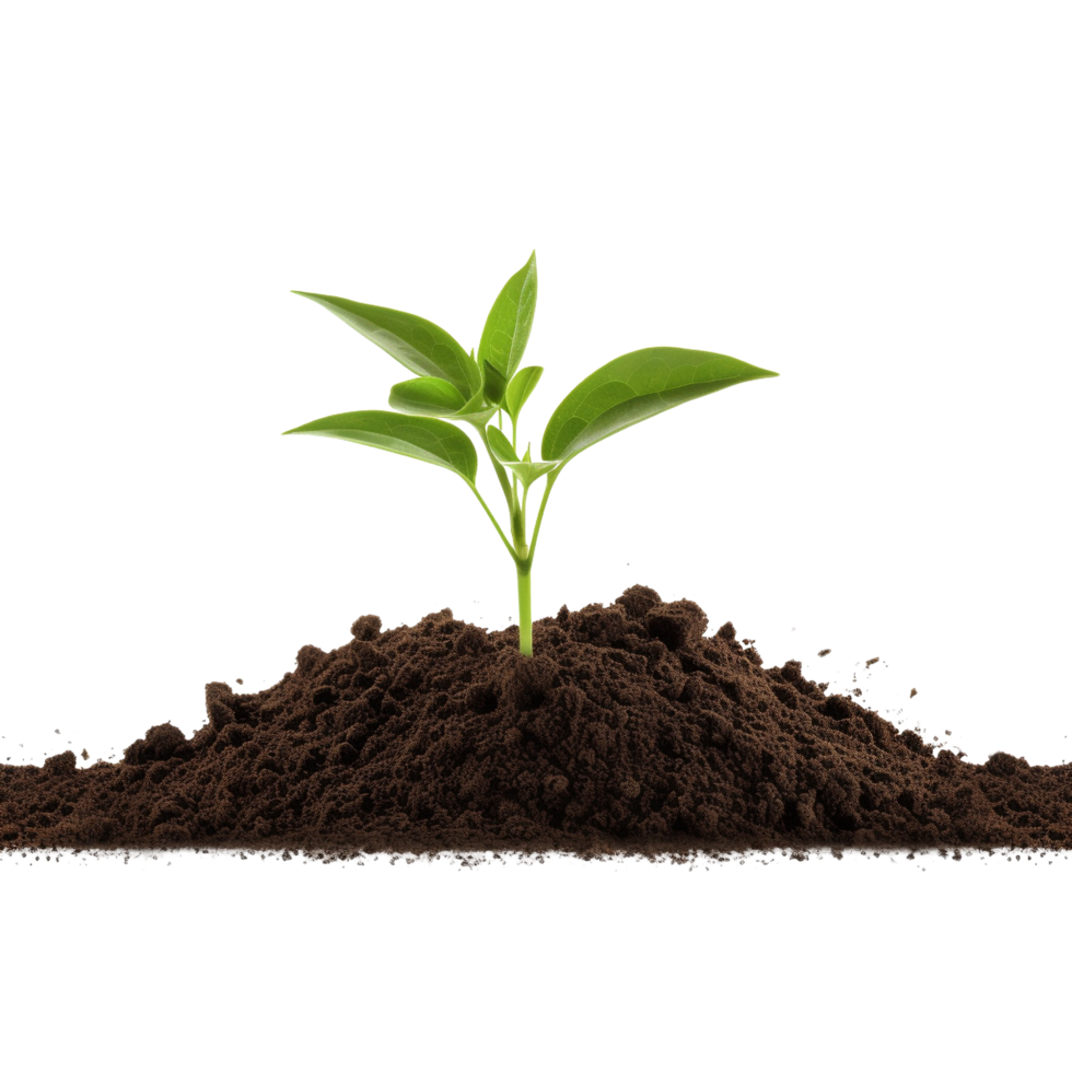 AI generated Young plant and pile of fertile soil clip art png