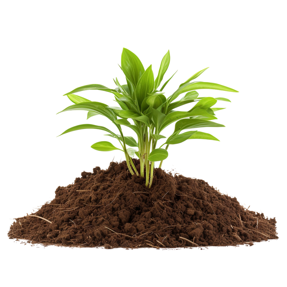 AI generated Young plant and pile of fertile soil clip art png