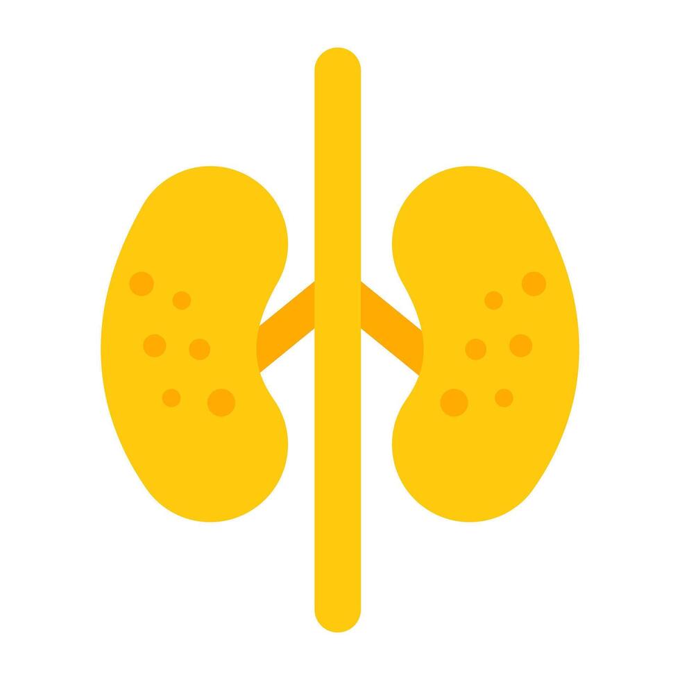 Kidneys icon in glyph design vector