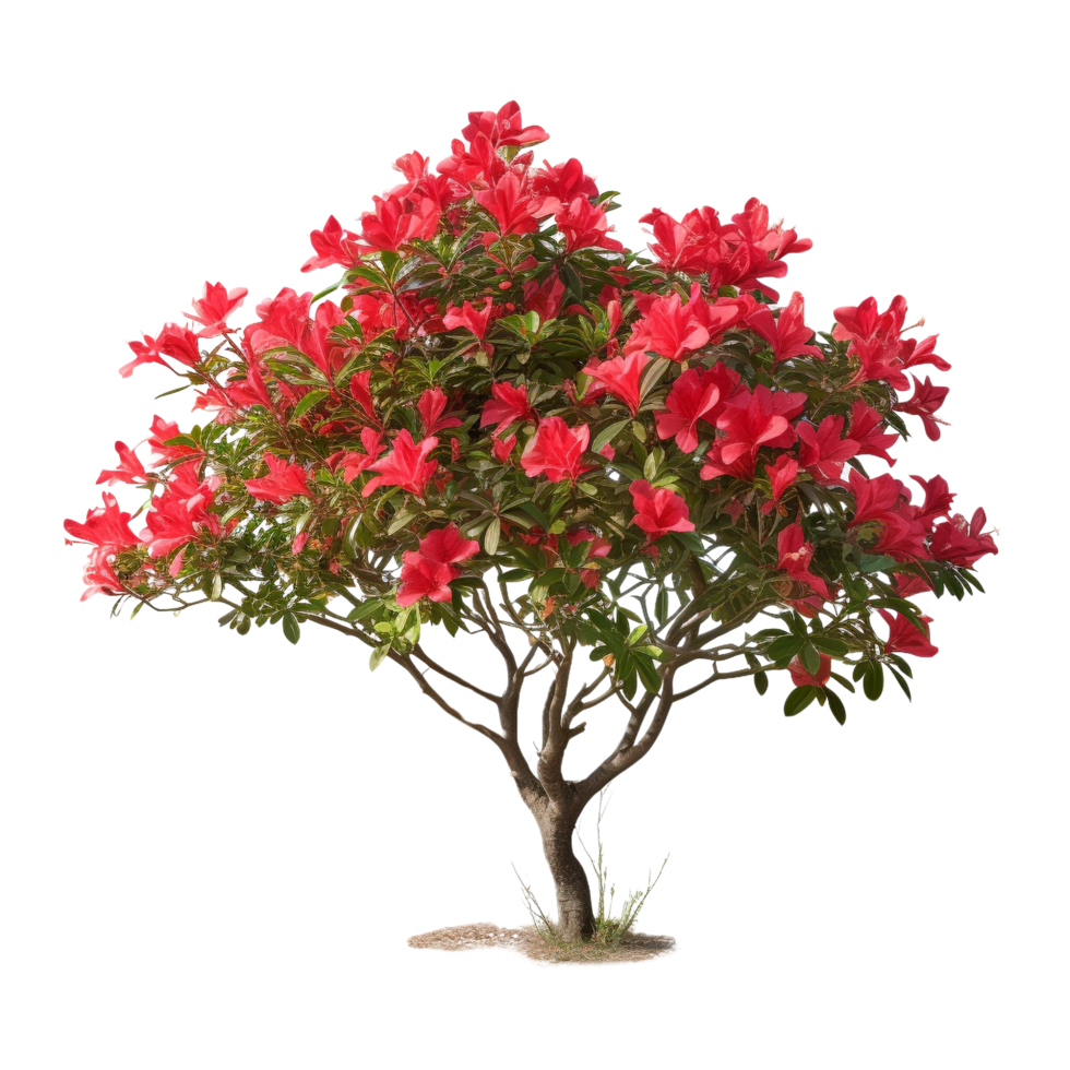 AI generated Tropical plant flower bush clip art png