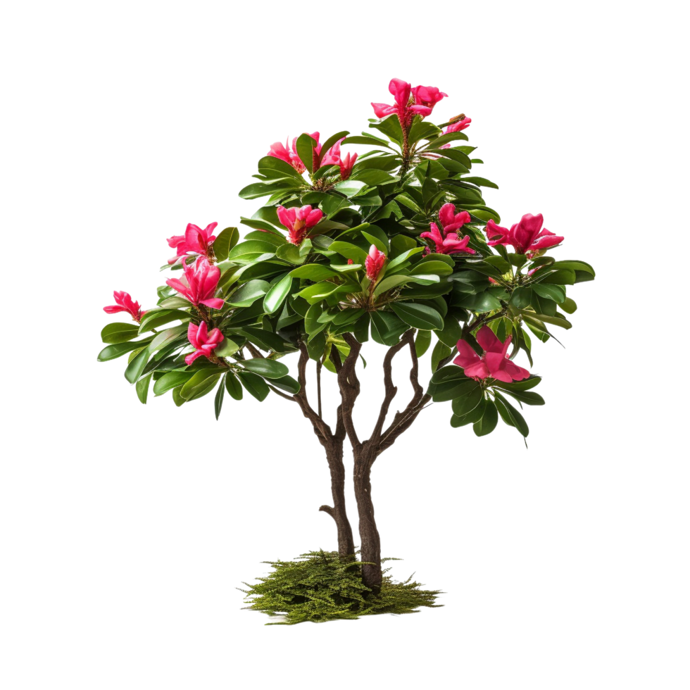 AI generated Tropical plant flower bush clip art png