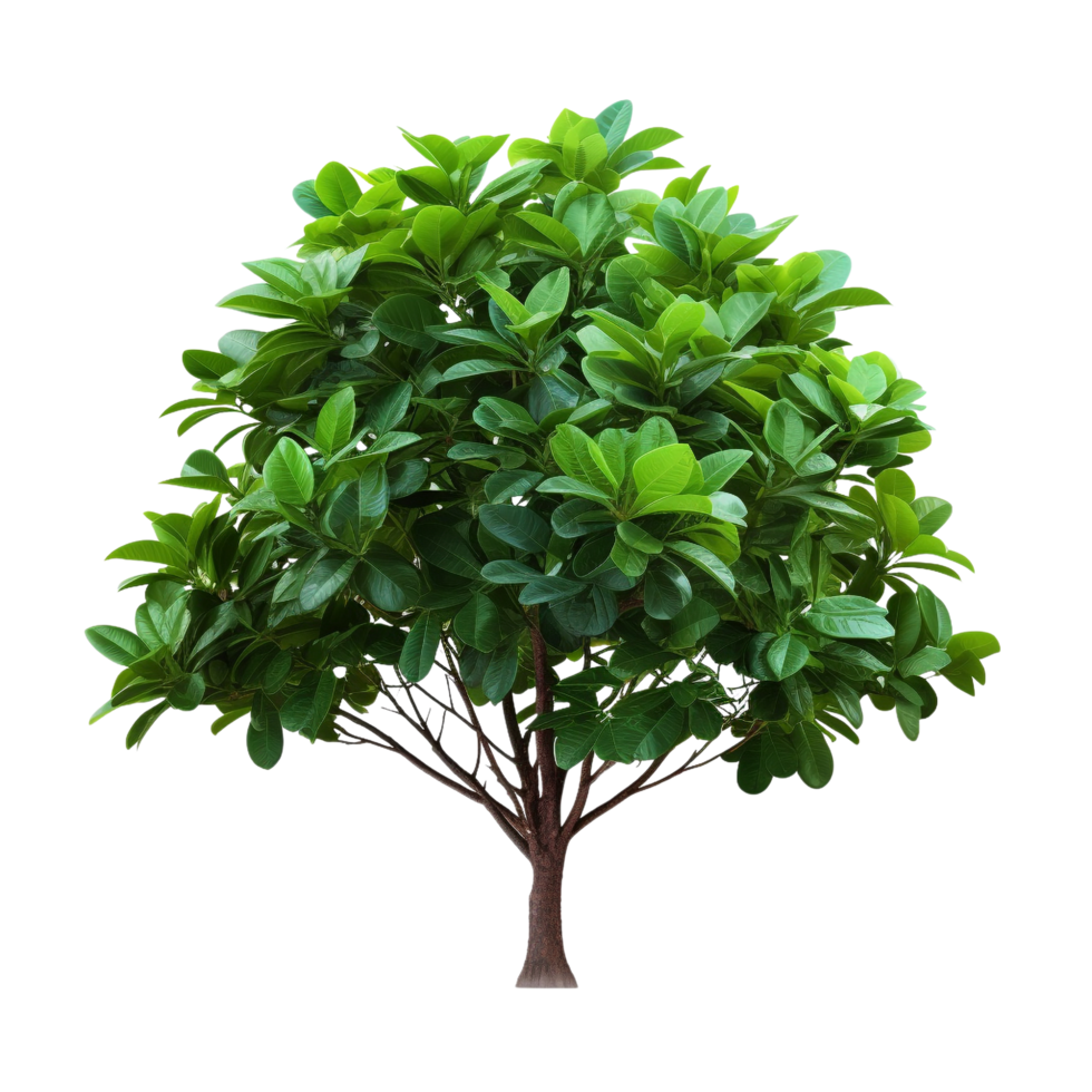 AI generated Tropical plant flower bush clip art png