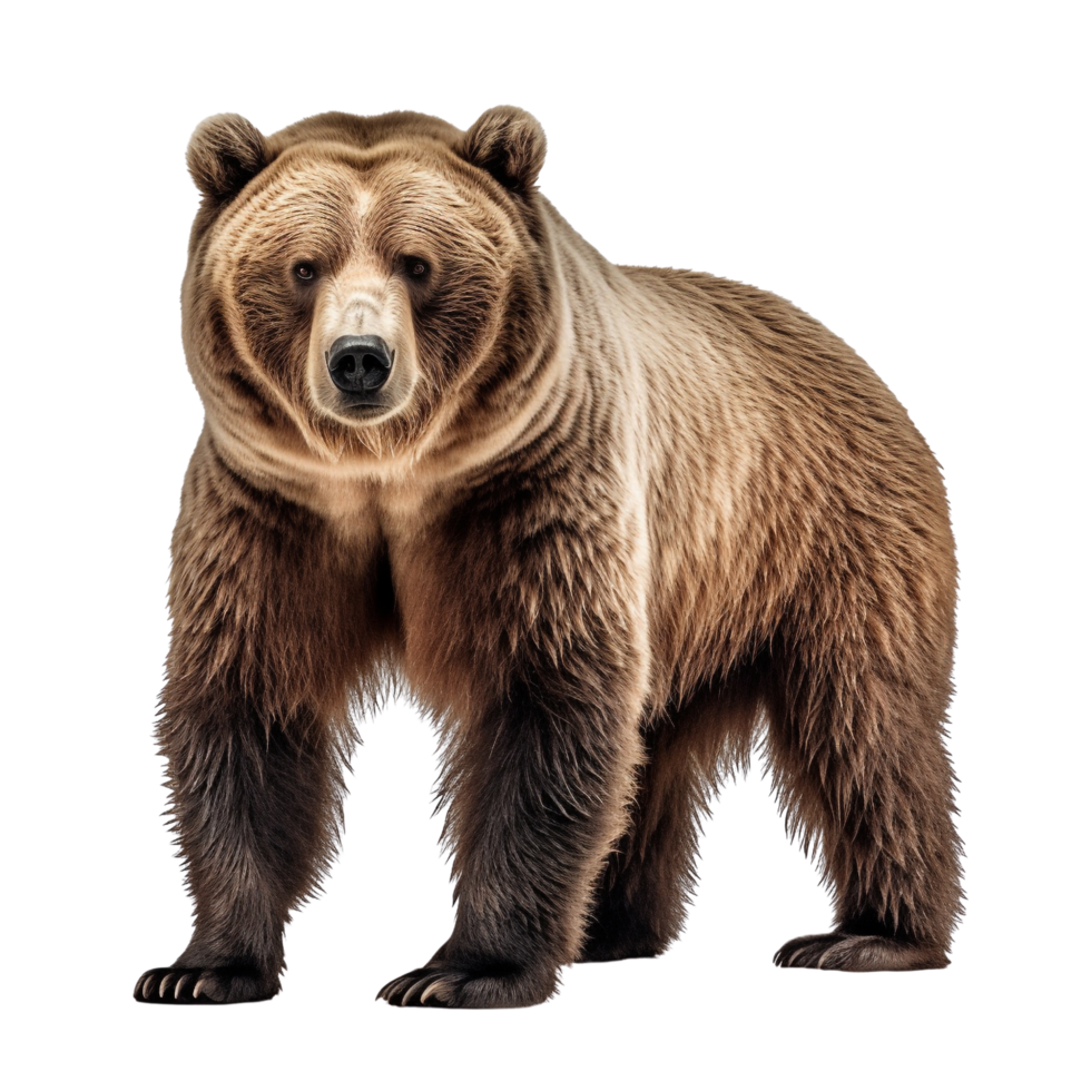 AI generated Bear clip art png
