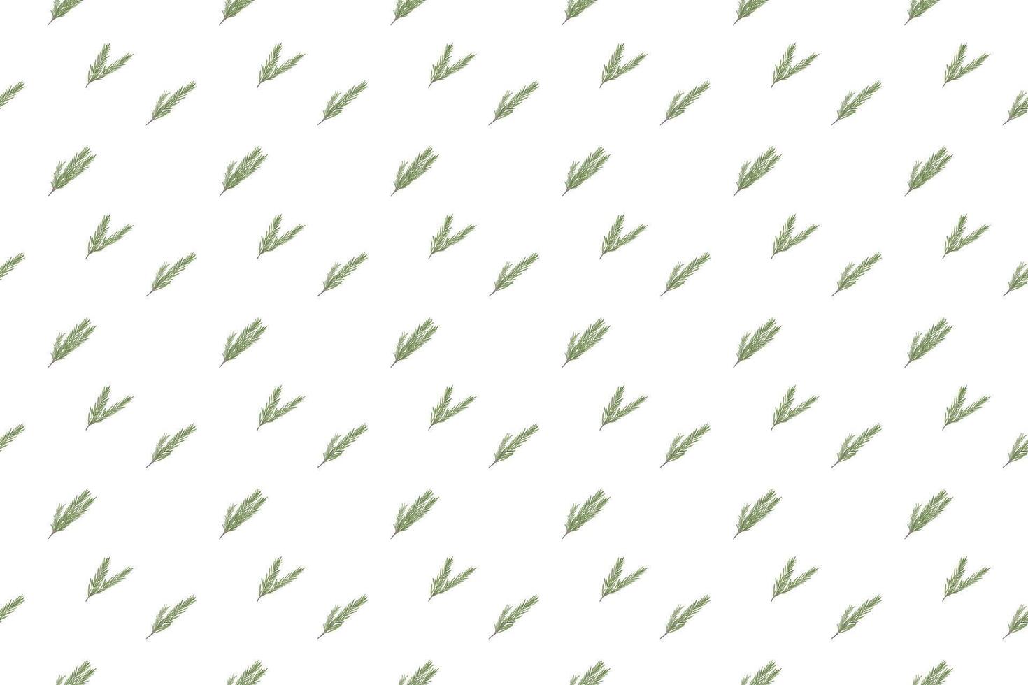 rosemary leaf arrange as seamless pattern background vector