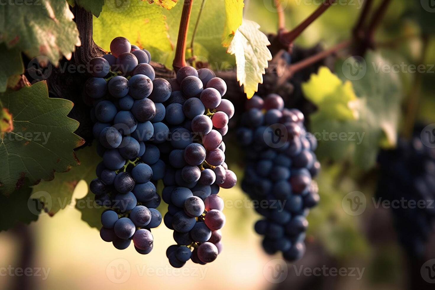 ai generado antiguo vino con rojo vino uvas. creado con generativo ai foto