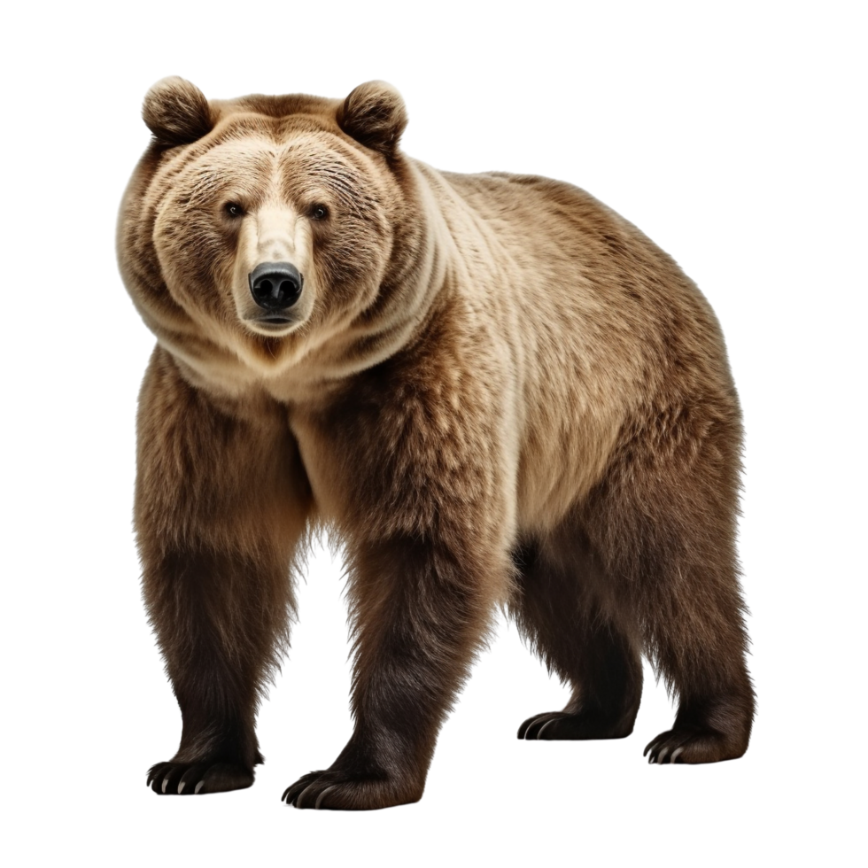 AI generated Bear clip art png