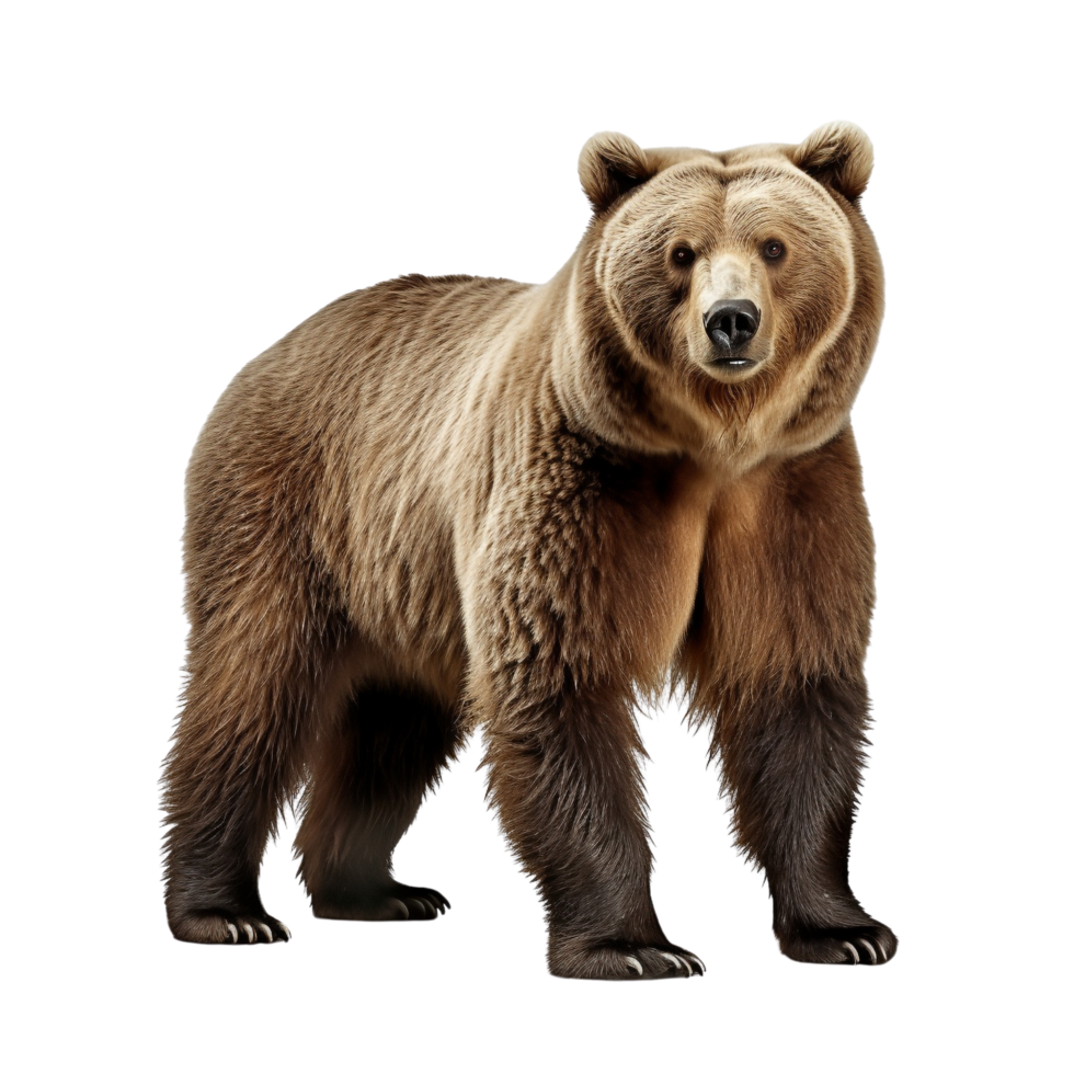AI generated Bear clip art png