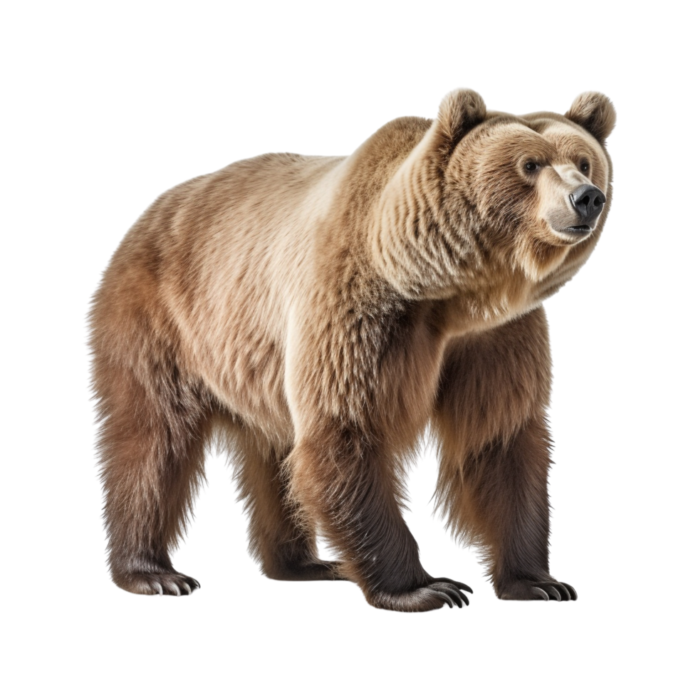 AI generated Bear clip art png