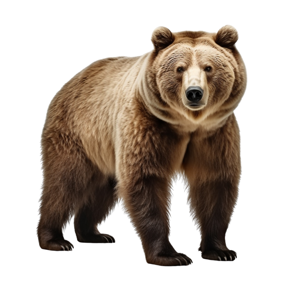 AI generated Bear clip art png