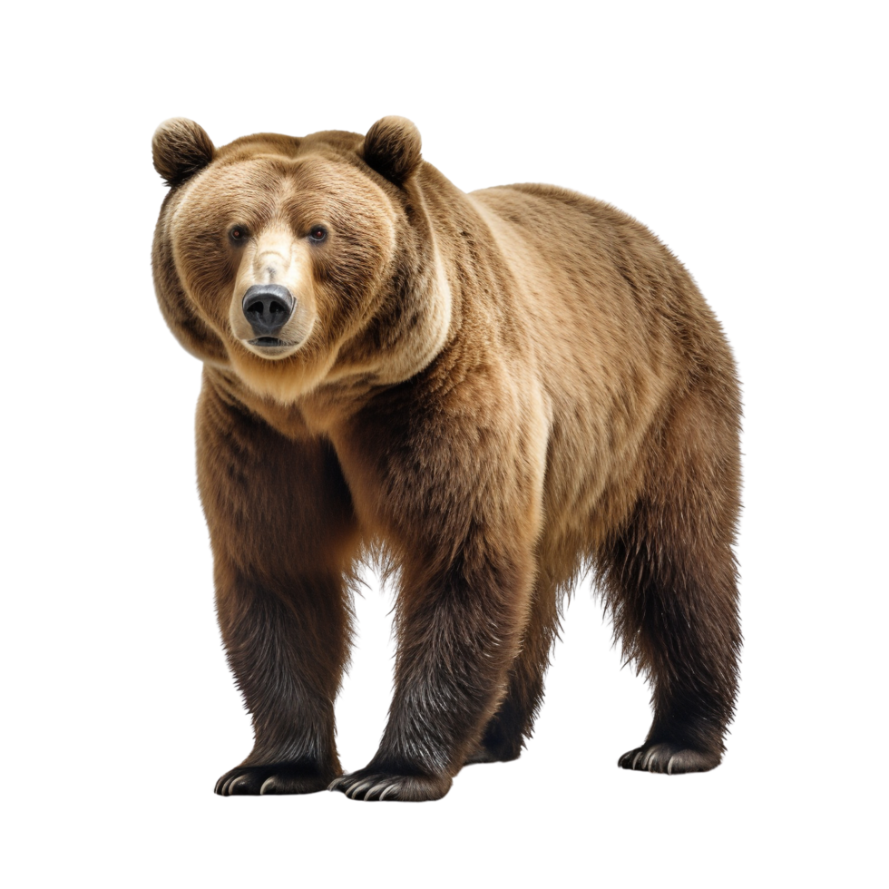 AI generated Bear clip art png