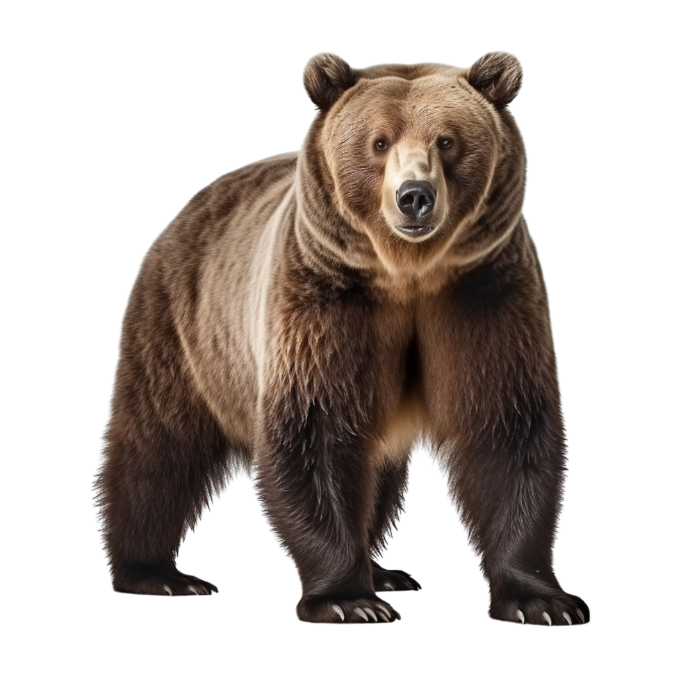 AI generated Bear clip art png