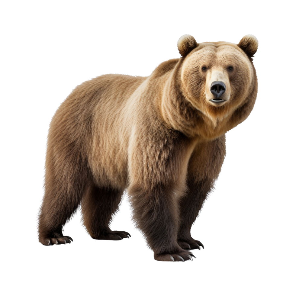 AI generated Bear clip art png