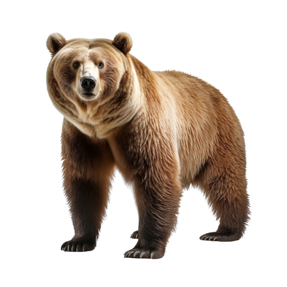 AI generated Bear clip art png