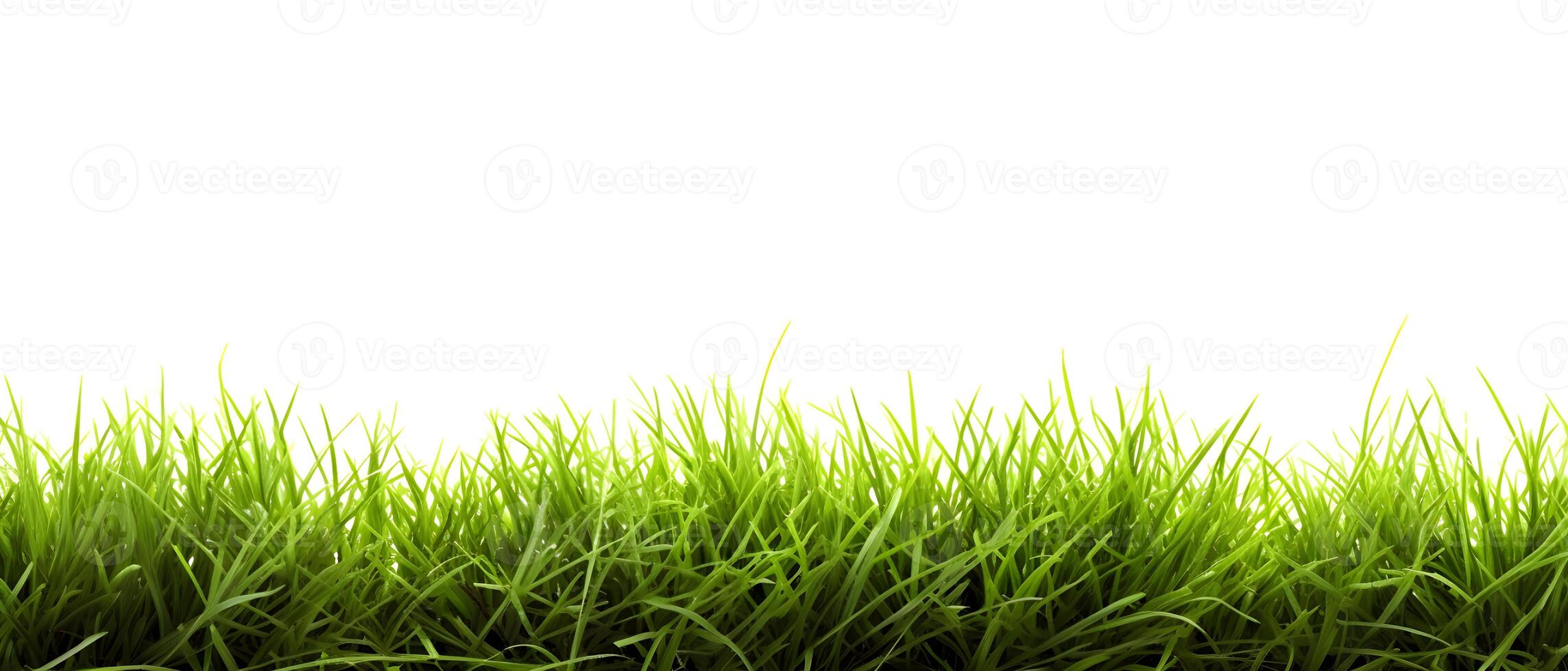 AI generated Fresh Spring Green Grass on White Background. created with Generative AI photo