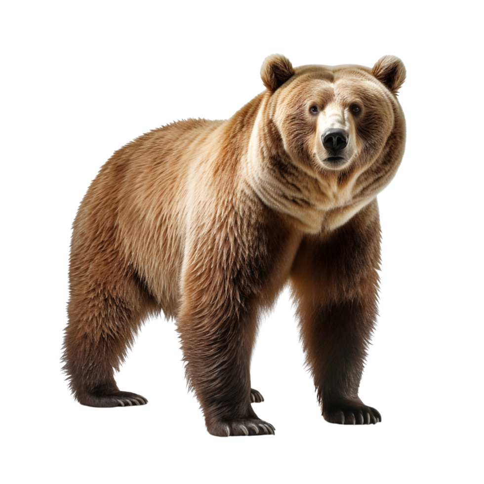 AI generated Bear clip art png