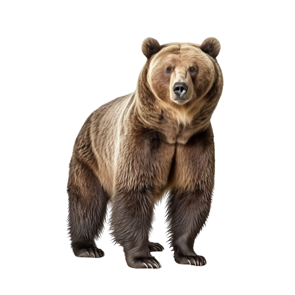 AI generated Bear clip art png
