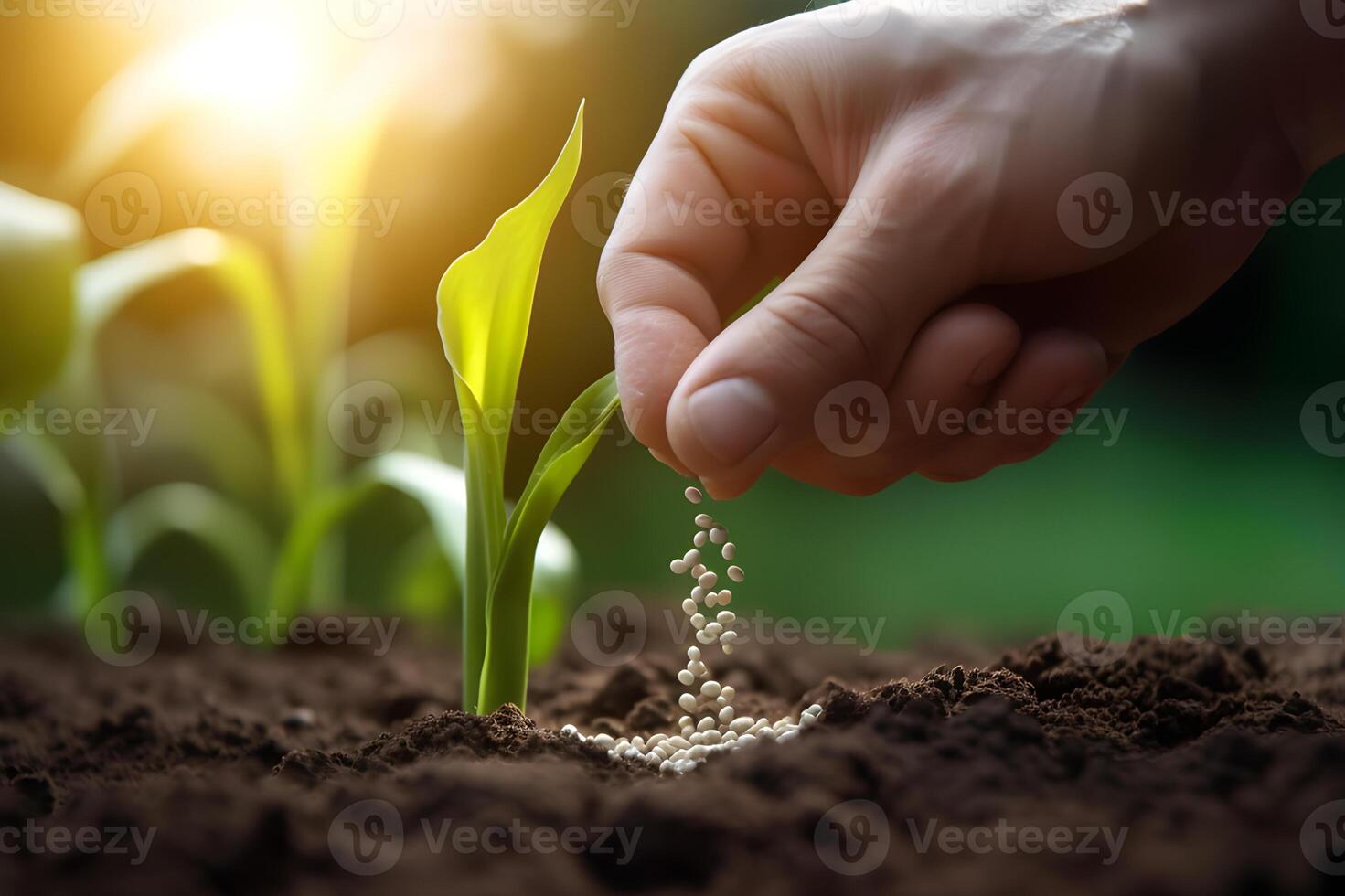 AI generated Farmer's Hands Cultivating Seeds in the Field. created with Generative AI photo