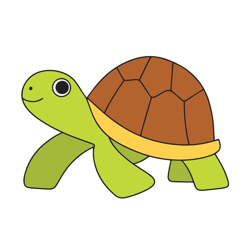 hand drawn tortoise colored outline. Set of turtle in doodle style. Hand drawn vector art.