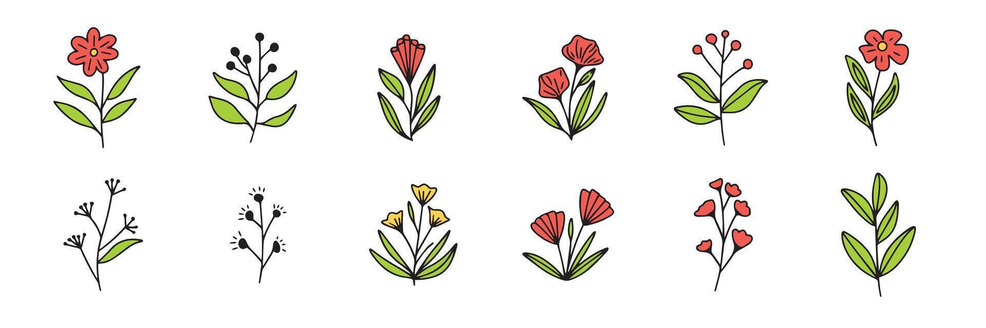 Collection of hand drawn flowers colored outline. Set of flower in doodle style. Hand drawn vector art.