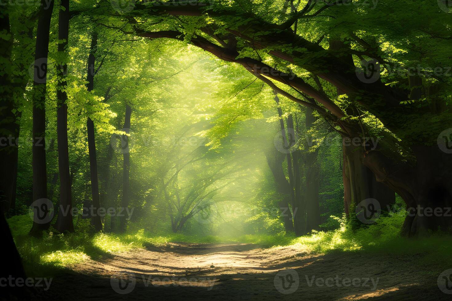 AI generated Natural Archway of Sunlit Trees in the Forest. created with Generative AI photo