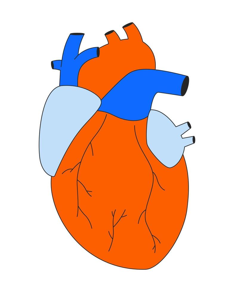 Human heart transplantation 2D linear cartoon object. Artificial organ isolated line vector element white background. Anatomy body part. Cardiology love. Internal organ color flat spot illustration