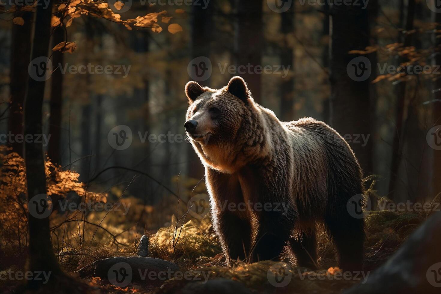 AI generated Bear Standing Still in the Serene Forest. created with Generative AI photo