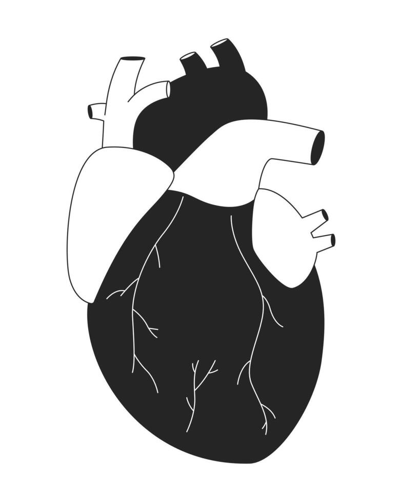 humano corazón trasplante negro y blanco 2d línea dibujos animados objeto. artificial Organo aislado vector contorno artículo. anatomía cuerpo parte. cardiología. interno Organo monocromo plano Mancha ilustración