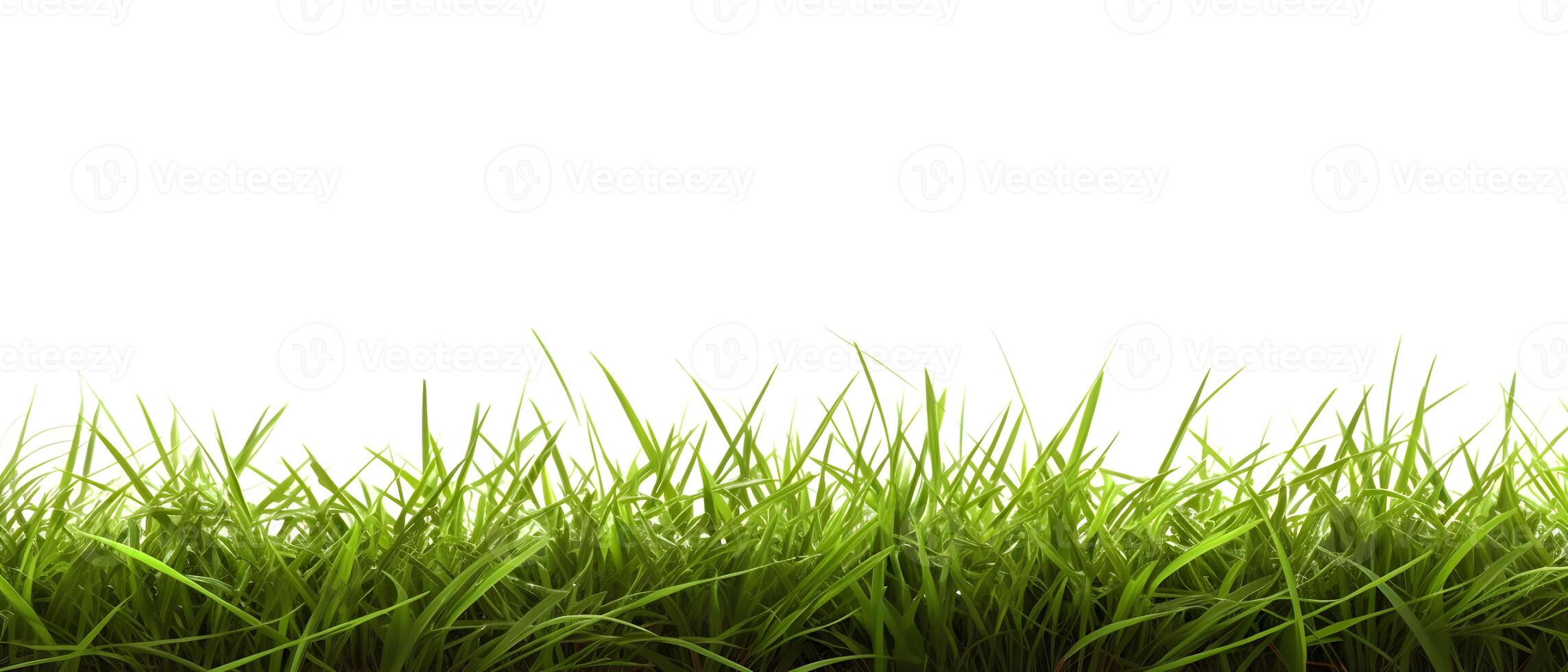 AI generated Fresh Spring Green Grass on White Background. created with Generative AI photo