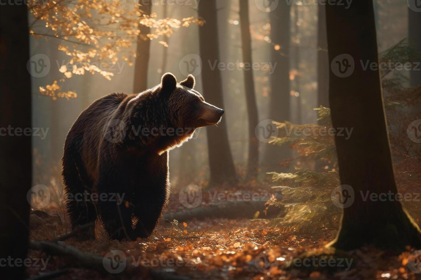 AI generated Bear Standing Still in the Serene Forest. created with Generative AI photo