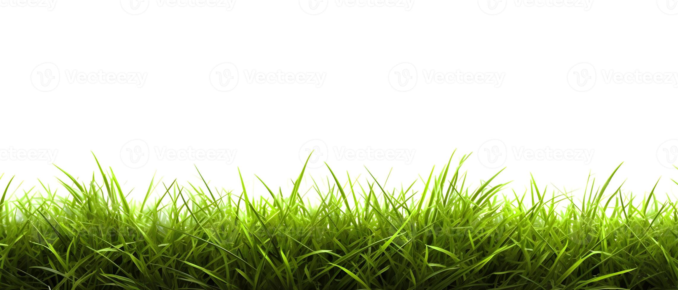 AI generated Fresh Spring Green Grass on White Background. created with Generative AI photo