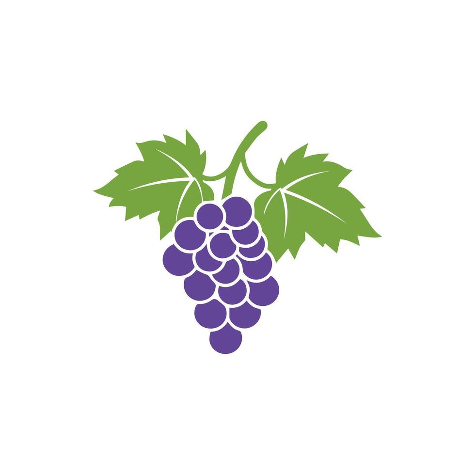Grape icon color white background design. silhouette style, vector illustration.