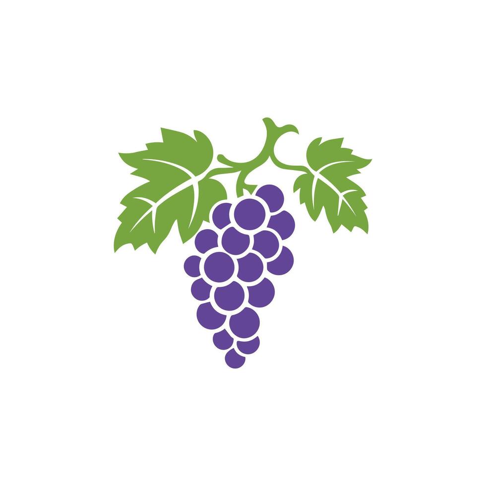 Grape icon color white background design. silhouette style, vector illustration.